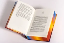 Heyne Verlag Urban Fantasy-The Extraordinaries - Alte Geheimnisse