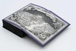 Bramble Hardcover Romantasy|Vampirromane-The Night is Defying