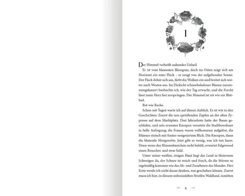 Ars Edition GmbH Romantasy-The North Wind - Reich aus Eis und Schatten (The Four Winds 1)