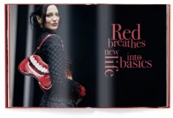 teNeues Verlag GmbH Architektur & Wohnen*The Red Book