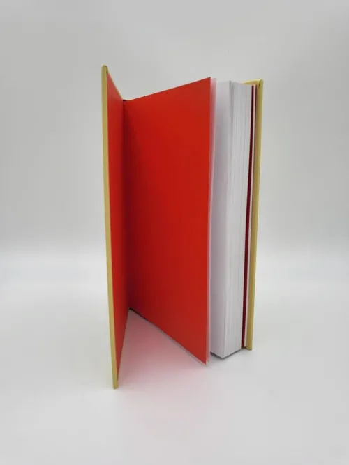 The Story of Art without Men*Piper Verlag GmbH Online