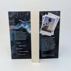 Forever Romantic Suspense*The summer that broke us