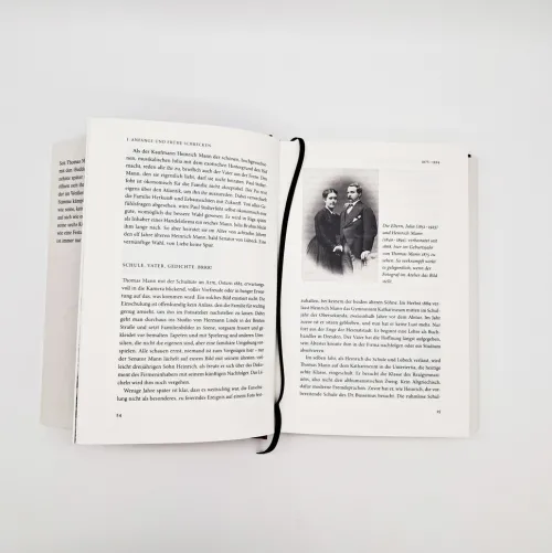 dtv Verlagsgesellschaft Biografien & Erinnerungen|Tagebücher*Thomas Mann