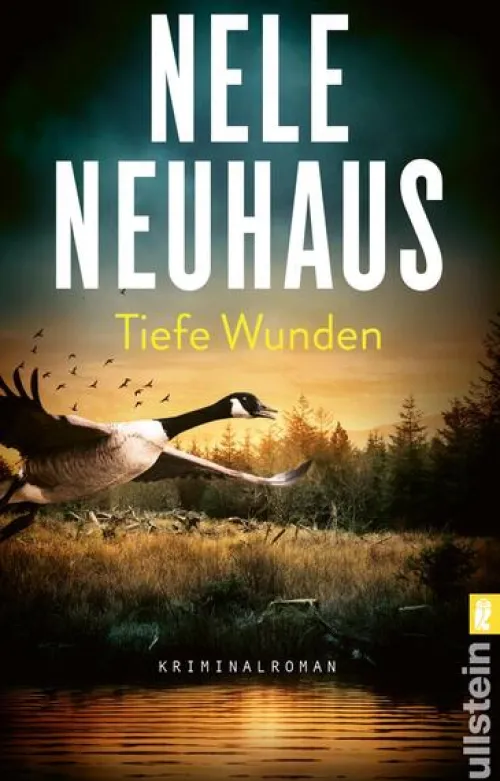 Tiefe Wunden*Ullstein Taschenbuchvlg. Hot