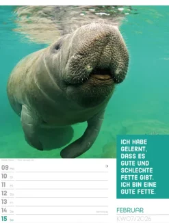 Ackermann Kunstverlag Wochenkalender*Tierisch Sprüchekalender Wochenplaner 2026