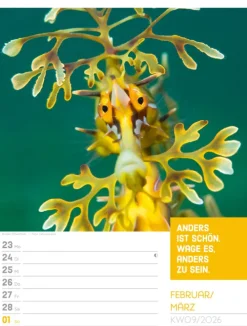 Ackermann Kunstverlag Wochenkalender*Tierisch Sprüchekalender Wochenplaner 2026