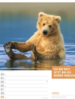 Ackermann Kunstverlag Wochenkalender*Tierisch Sprüchekalender Wochenplaner 2026