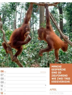 Ackermann Kunstverlag Wochenkalender*Tierisch Sprüchekalender Wochenplaner 2026