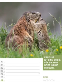 Ackermann Kunstverlag Wochenkalender*Tierisch Sprüchekalender Wochenplaner 2026