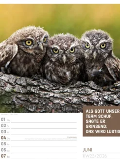 Ackermann Kunstverlag Wochenkalender*Tierisch Sprüchekalender Wochenplaner 2026