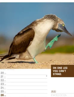 Ackermann Kunstverlag Wochenkalender*Tierisch Sprüchekalender Wochenplaner 2026