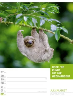 Ackermann Kunstverlag Wochenkalender*Tierisch Sprüchekalender Wochenplaner 2026