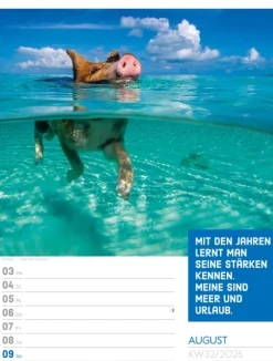 Ackermann Kunstverlag Wochenkalender*Tierisch Sprüchekalender Wochenplaner 2026