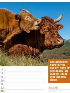 Ackermann Kunstverlag Wochenkalender*Tierisch Sprüchekalender Wochenplaner 2026
