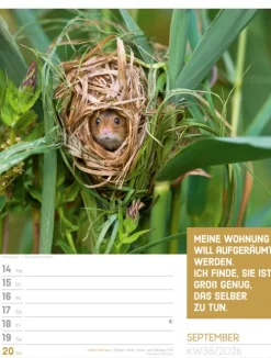 Ackermann Kunstverlag Wochenkalender*Tierisch Sprüchekalender Wochenplaner 2026