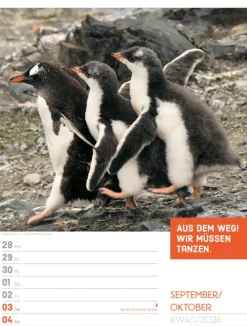 Ackermann Kunstverlag Wochenkalender*Tierisch Sprüchekalender Wochenplaner 2026