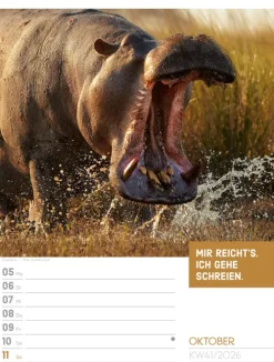 Ackermann Kunstverlag Wochenkalender*Tierisch Sprüchekalender Wochenplaner 2026