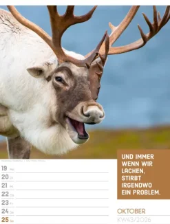 Ackermann Kunstverlag Wochenkalender*Tierisch Sprüchekalender Wochenplaner 2026