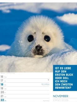 Ackermann Kunstverlag Wochenkalender*Tierisch Sprüchekalender Wochenplaner 2026