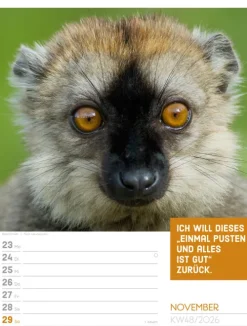 Ackermann Kunstverlag Wochenkalender*Tierisch Sprüchekalender Wochenplaner 2026