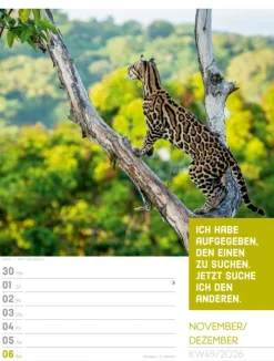 Ackermann Kunstverlag Wochenkalender*Tierisch Sprüchekalender Wochenplaner 2026