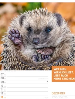 Ackermann Kunstverlag Wochenkalender*Tierisch Sprüchekalender Wochenplaner 2026