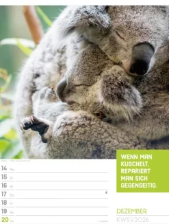 Ackermann Kunstverlag Wochenkalender*Tierisch Sprüchekalender Wochenplaner 2026