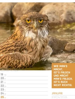 Ackermann Kunstverlag Wochenkalender*Tierisch Sprüchekalender Wochenplaner 2026