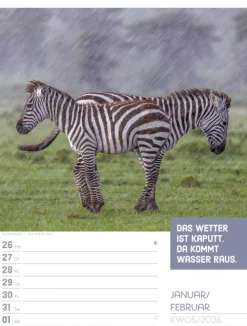Ackermann Kunstverlag Wochenkalender*Tierisch Sprüchekalender Wochenplaner 2026