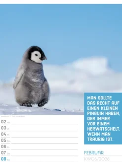 Ackermann Kunstverlag Wochenkalender*Tierisch Sprüchekalender Wochenplaner 2026