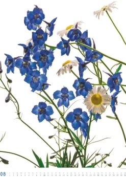 Titel DUMONT Best of Flora 2026 - Blumen-Kalender 50 x 70 cm, Foto-Poster im Großformat von Tan Kadam für Kunst- & Pflanzenliebhaber*DuMont Kalenderverlag Discount