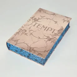 FISCHER Sauerländer Young Adult-To Tempt a God