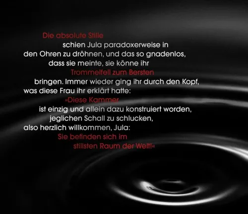 Droemer Taschenbuch Privatdetektive*Todesrauschen