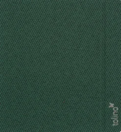 Telco accessories Gecko Zubehör·Zubehör Tolino Vision Color-tolino vision Slimfit Premium Cover green weave round edge