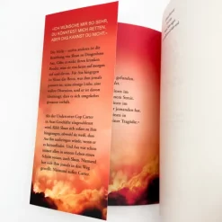 dtv Verlagsgesellschaft Psychothriller-Too Late - Wenn Nein sagen zur tödlichen Gefahr wird