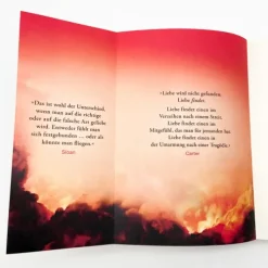 dtv Verlagsgesellschaft Psychothriller-Too Late - Wenn Nein sagen zur tödlichen Gefahr wird