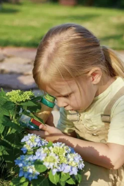 Toynamics Europe GmbH Forschen & Entdecken*Tragbares Mikroskop