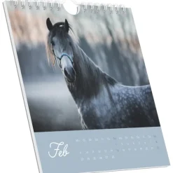 Traumpferde 2026 - Postkartenkalender 16x17 cm - Horses - zum Aufstellen oder Aufhängen - Monatskalendarium - Gadget - Mitbringsel - Alpha Edition*Neumann Verlage GmbH & Co Hot