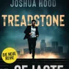 Heyne Taschenbuch Politthriller-Treadstone - Der Gejagte