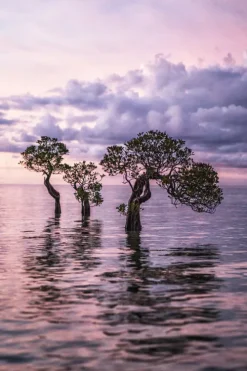 Tropics & Traditions*teNeues Verlag GmbH Best