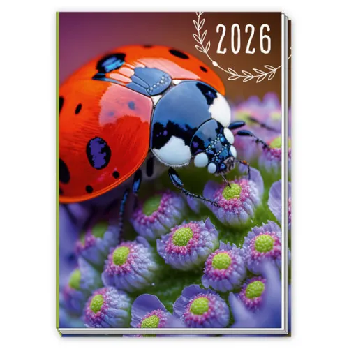 Trötsch Verlag GmbH Terminkalender*Trötsch Taschenkalender A7 Marienkäfer 2026