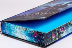 cbj Lgbtqia+ Jugendbücher*True Crown - Das Duell mit dem dunklen Magier