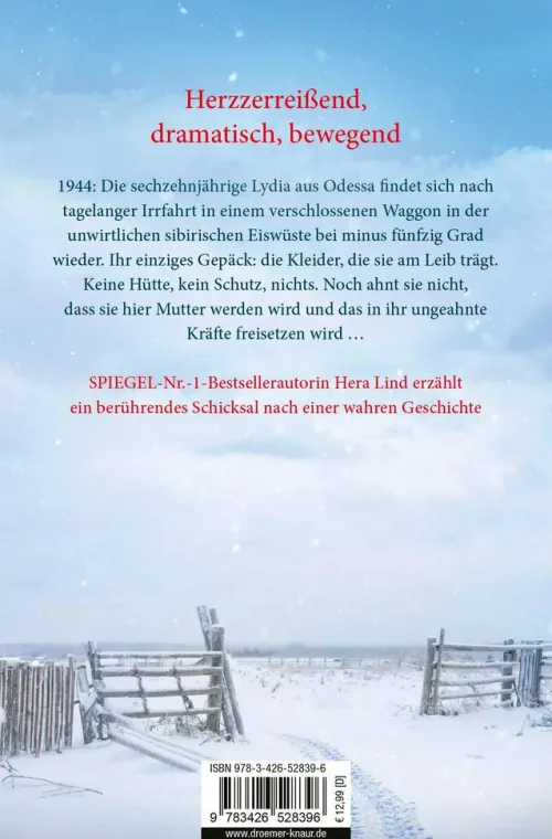 Knaur Taschenbuch Schicksalsromane|Historische Romane-Um jeden Preis