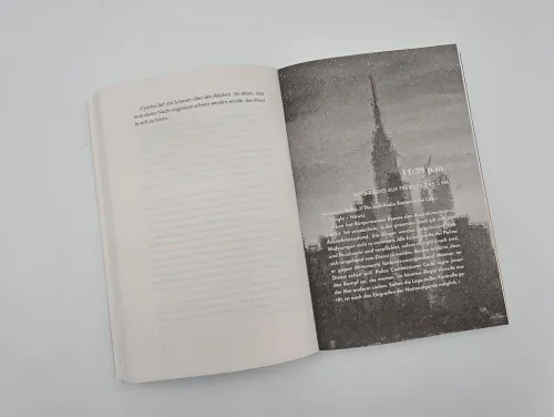 Piper Verlag GmbH Schicksalsromane*Und New York blieb dunkel