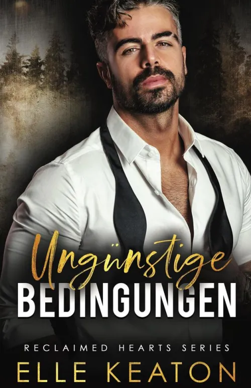 Dirty Dog Press LLC Queere Romane-Ungunstige Bedingungen (zurückeroberte herzen, #1)