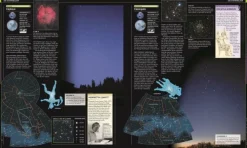 Dorling Kindersley Verlag Physik & Astronomie*Universum