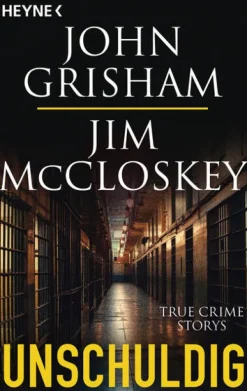 Heyne Taschenbuch Politthriller*Unschuldig