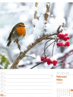 Ackermann Kunstverlag Wochenkalender-Unser Wald Wochenplaner Kalender 2026