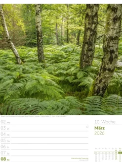 Ackermann Kunstverlag Wochenkalender-Unser Wald Wochenplaner Kalender 2026