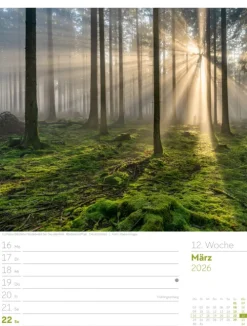 Ackermann Kunstverlag Wochenkalender-Unser Wald Wochenplaner Kalender 2026